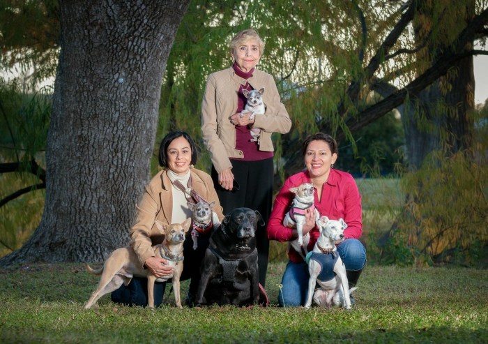 2D974A32-BC37-492C-8797-640E97CDAA90