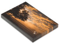 depth-one-half-thumb-300x229