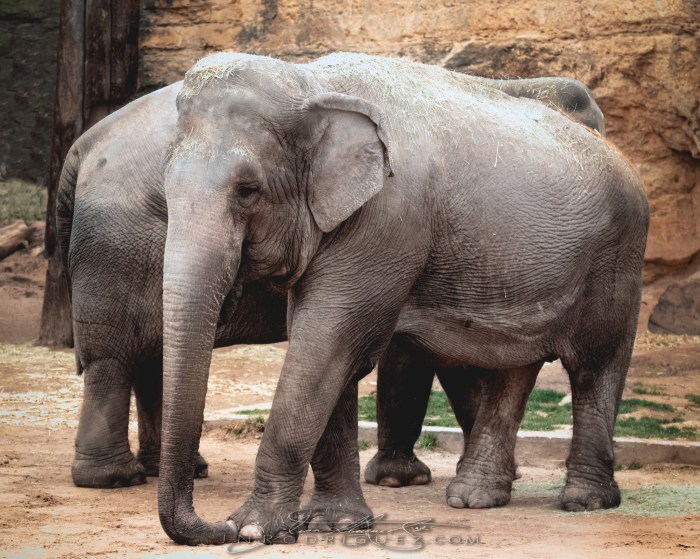 GW8A9769-Recovered-2